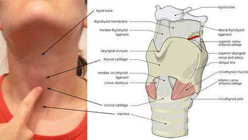 How to Get Rid of the Anxiety Lump in Your Throat