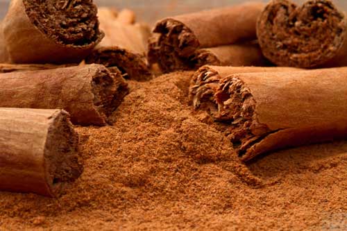 Richard Whelan ~ Medical Herbalist ~ Cinnamon