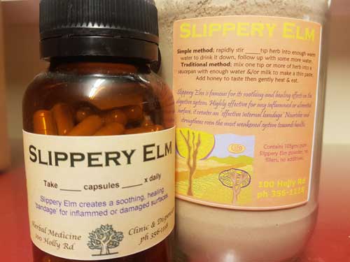 Slippery elm  Medicinal Uses, Healing Properties, Herbal Remedies