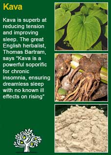 Richard Whelan ~ Medical Herbalist ~ Kava