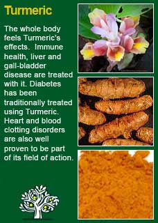 Richard Whelan ~ Medical Herbalist ~ Turmeric