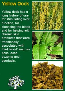 blood cleansing herbs